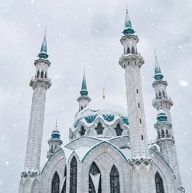 Для климата в Казани